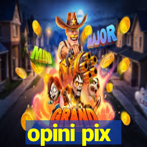 opini pix